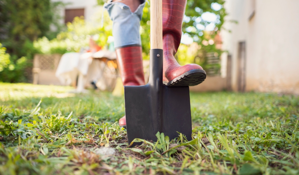 digging in the yard